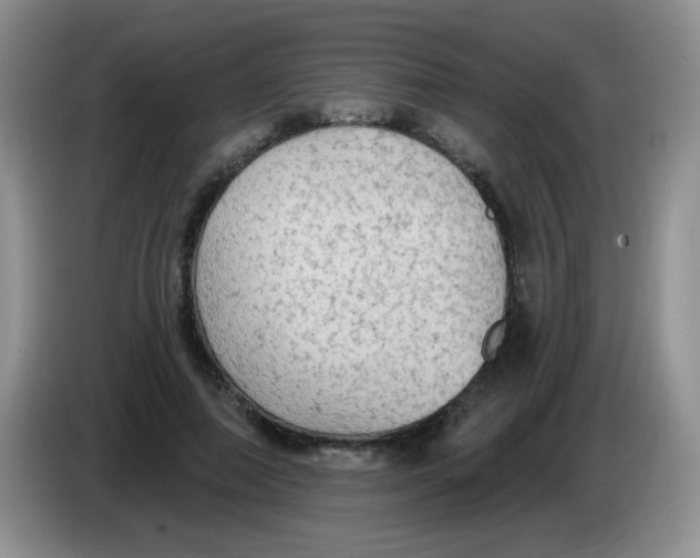 X0000084050690200703092053