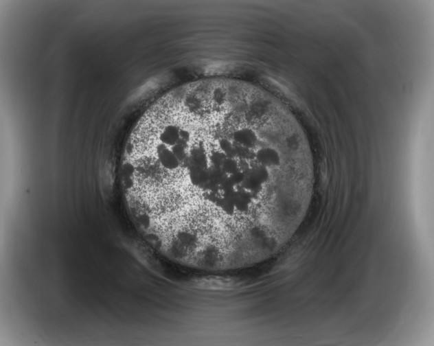 X0000084050691200703092053