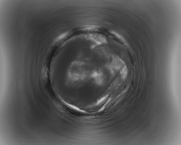 X0000084050692200703092053