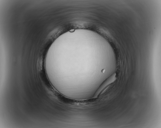 X0000084050694200703092053