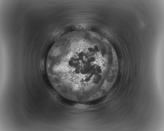 X0000084050699200703092052