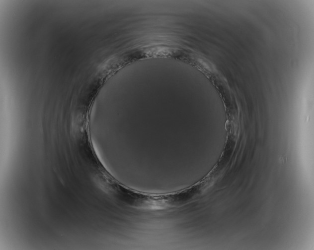 X0000084050701200703092052