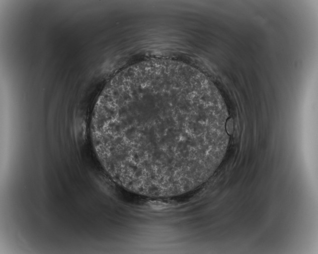 X0000084050703200703092052