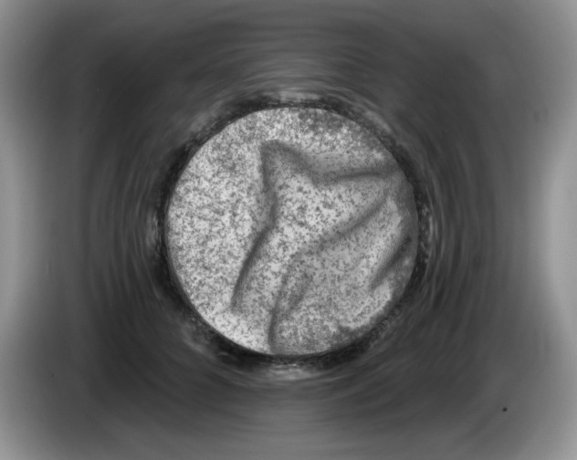 X0000084050704200703092052