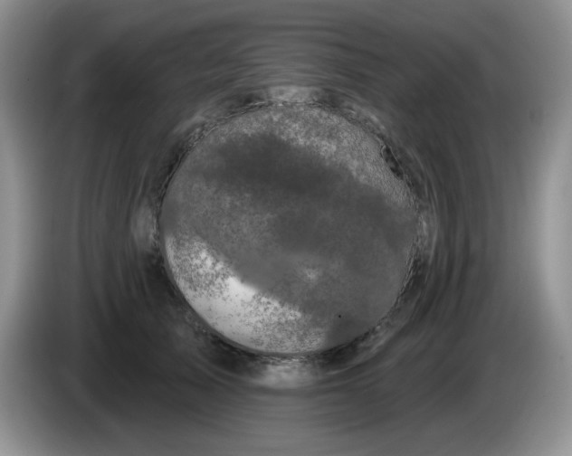 X0000084050705200703092052