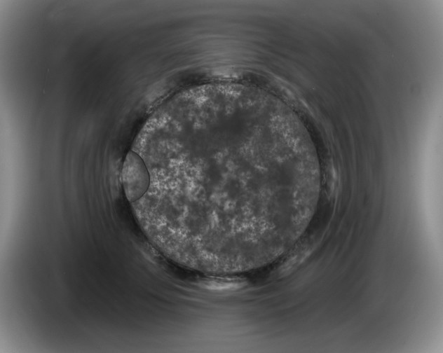 X0000084050707200703092052