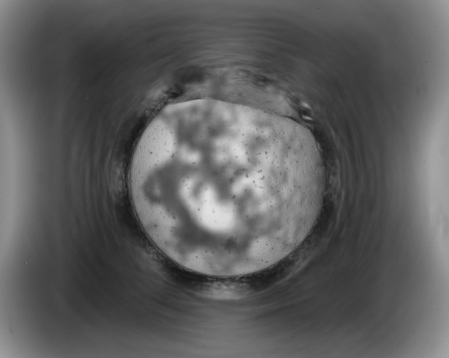 X0000084050708200703092052