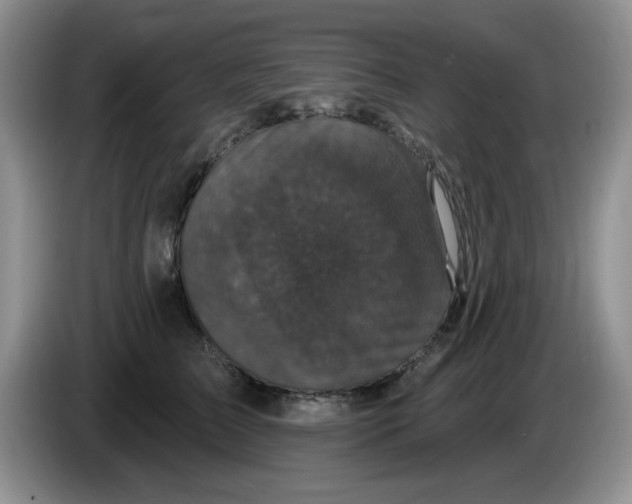 X0000084050709200703092052