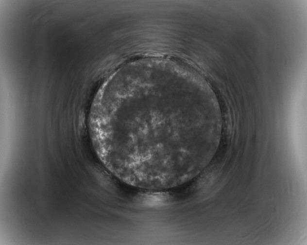 X0000084050711200703092052