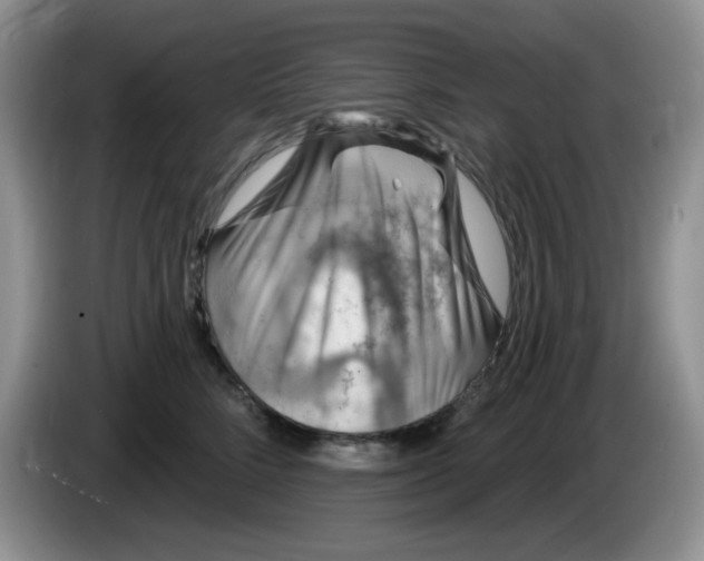 X0000084050712200703092052