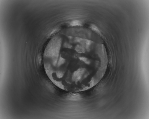 X0000084050715200703092052