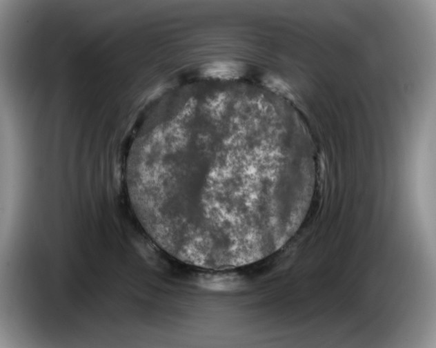 X0000084050716200703092052