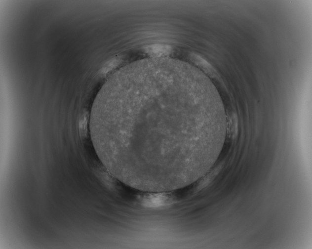 X0000084050717200703092052