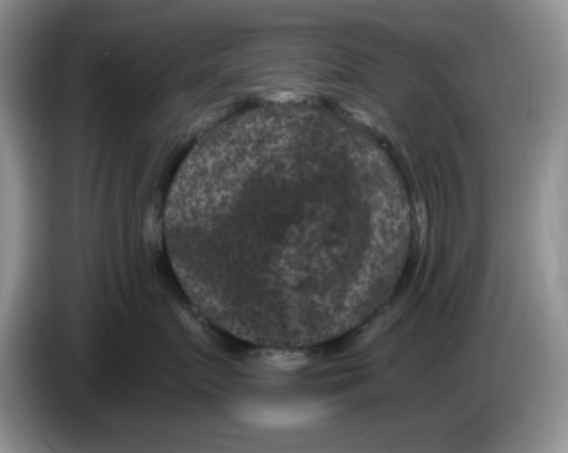 X0000084050719200703092052