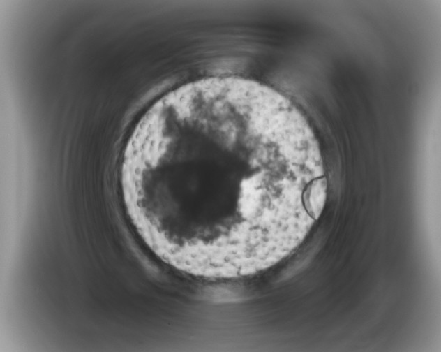 X0000084050721200703092052