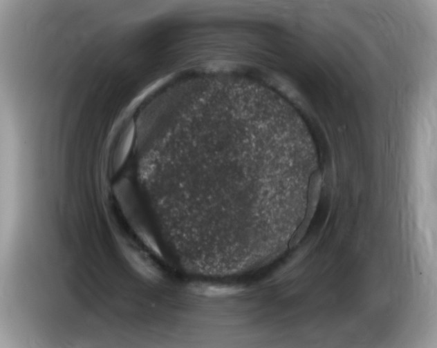 X0000084050722200703092052