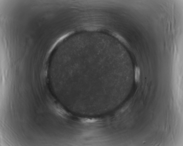 X0000084050723200703092052