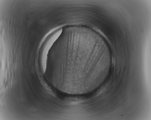 X0000084050724200703092052