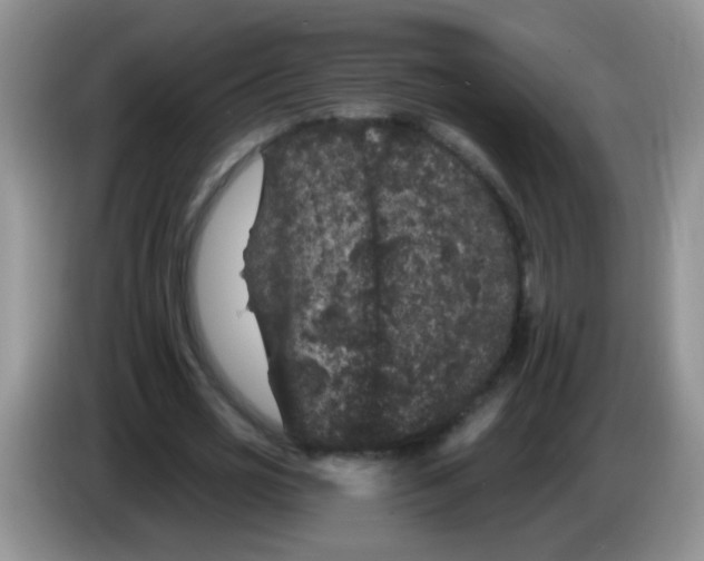 X0000084050725200703092052