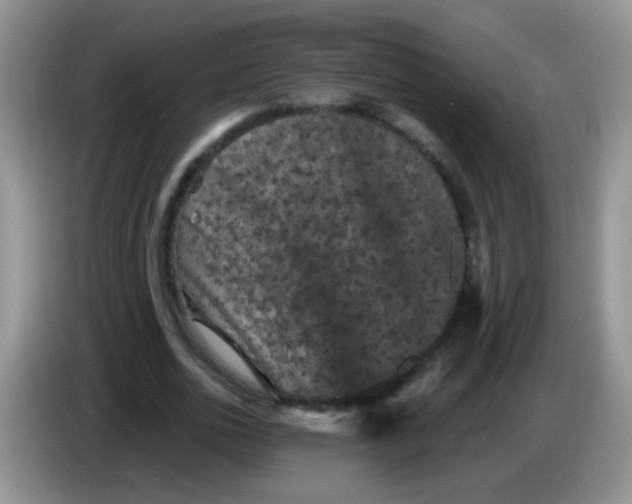 X0000084050726200703092052