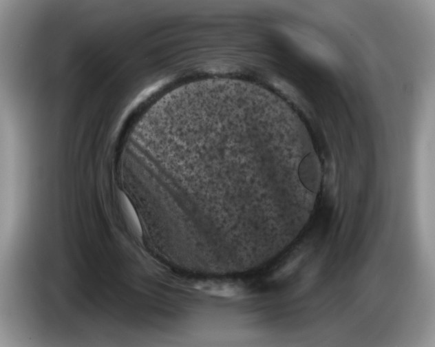 X0000084050727200703092052