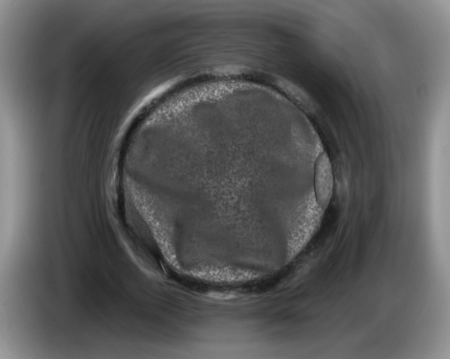 X0000084050728200703092052