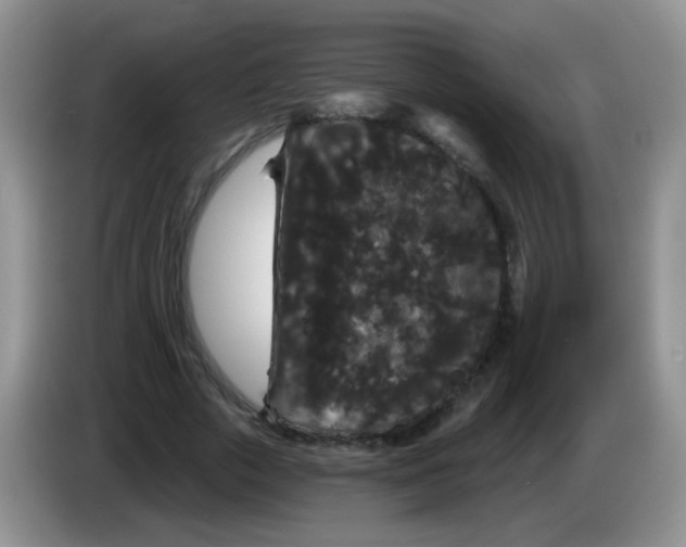 X0000084050729200703092052