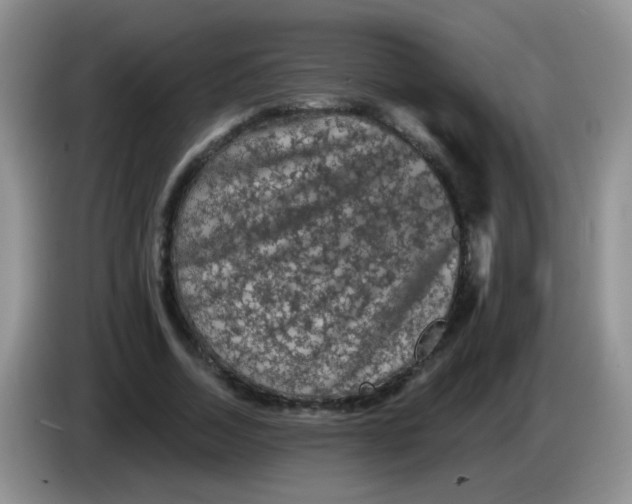 X0000084050730200703092052