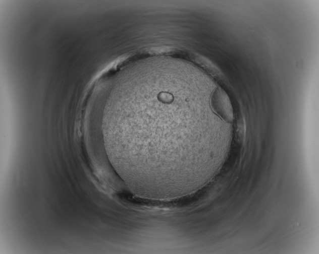 X0000084050732200703092052