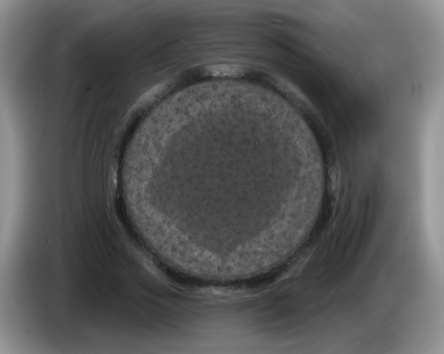 X0000084050733200703092052