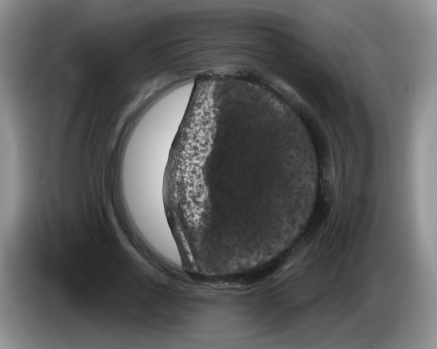 X0000084050734200703092052