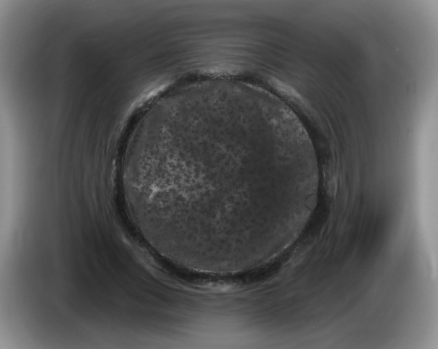 X0000084050735200703092052