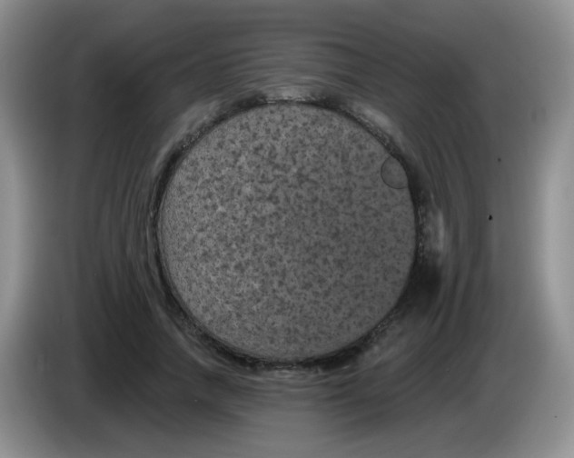 X0000084050738200703092052