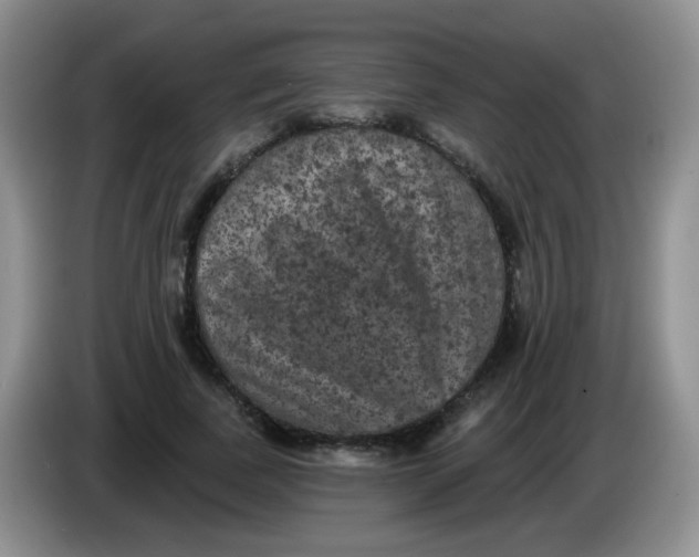 X0000084050739200703092052