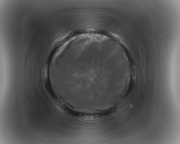 X0000084050740200703092052