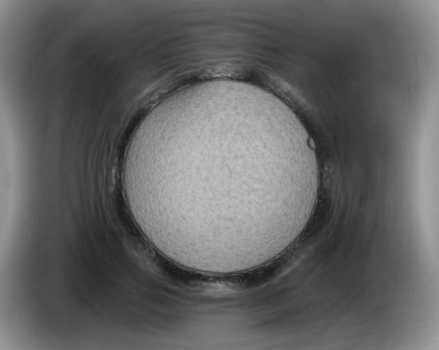 X0000084050741200703092052