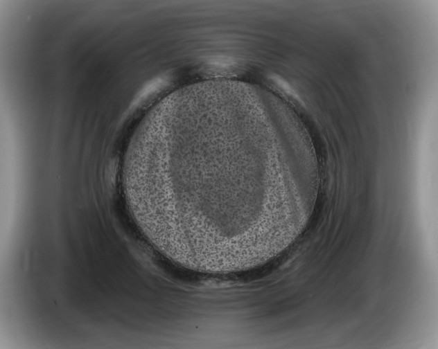 X0000084050742200703092052