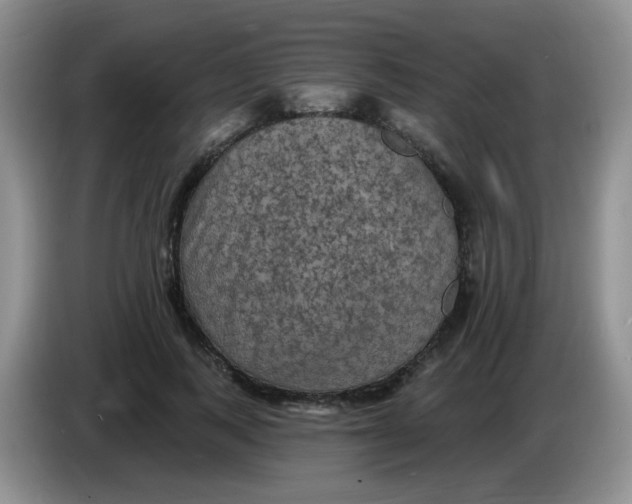 X0000084050743200703092052