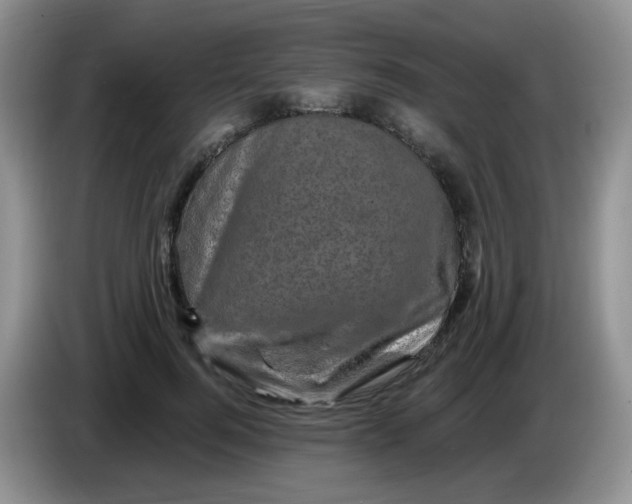 X0000084050744200703092052