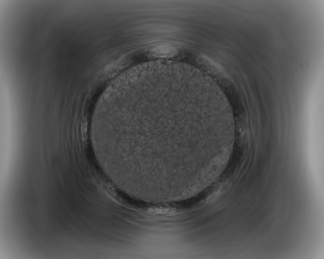 X0000084050745200703092052