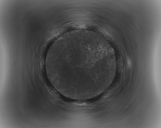 X0000084050747200703092052