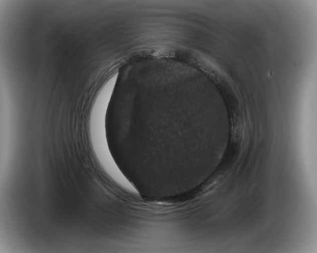 X0000084050748200703092052