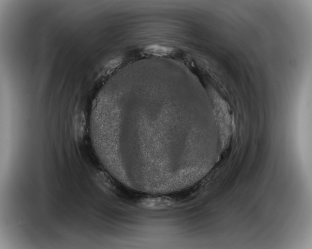 X0000084050752200703092052