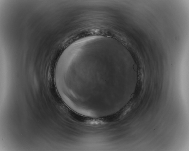 X0000084050754200703092052