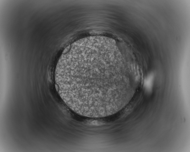 X0000084050755200703092052