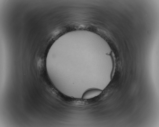 X0000084050756200703092052