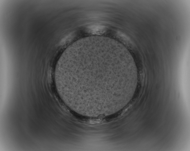 X0000084050757200703092052