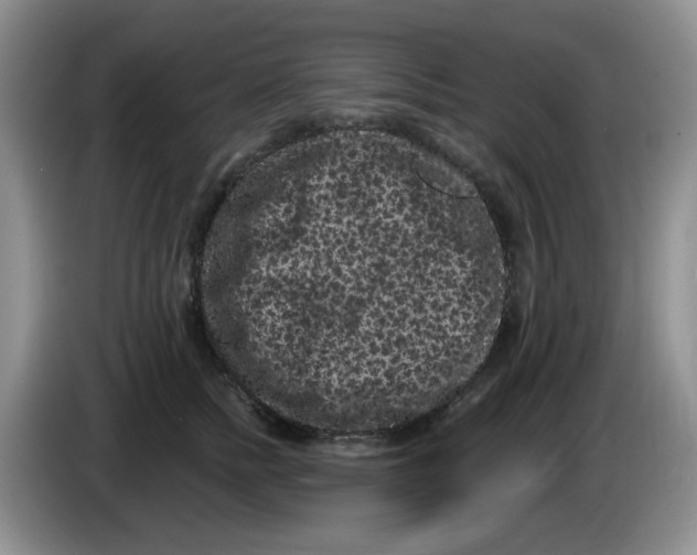 X0000084050758200703092052