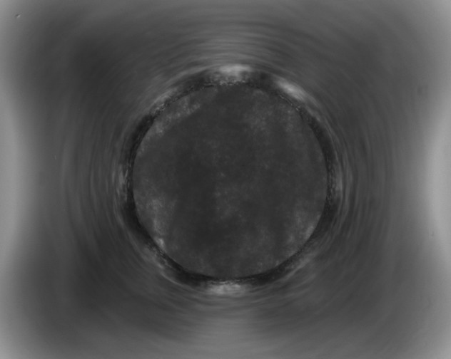 X0000084050759200703092052