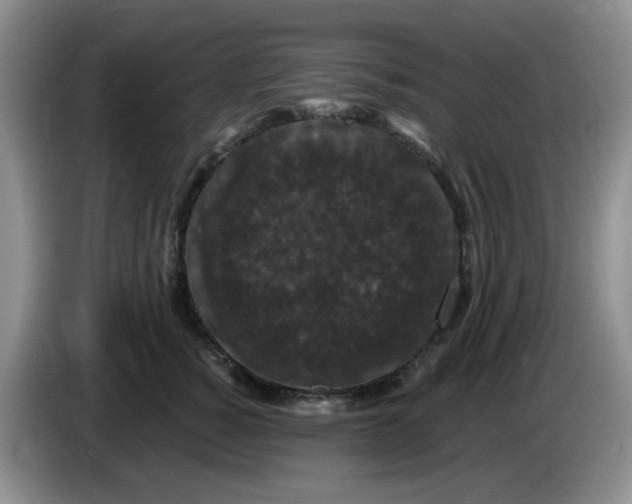 X0000084050760200703092052